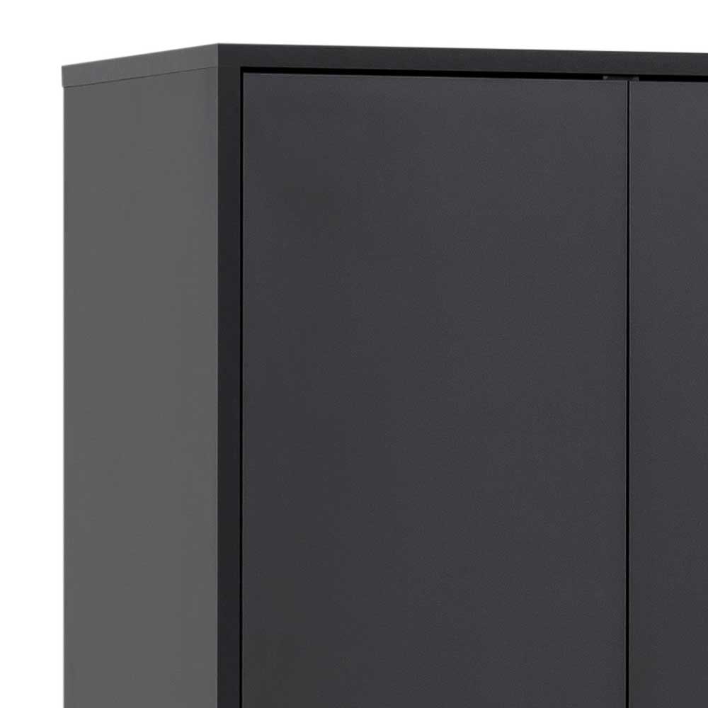 60x170x33 2-türiger Schuhschrank in Schwarz - Anderian