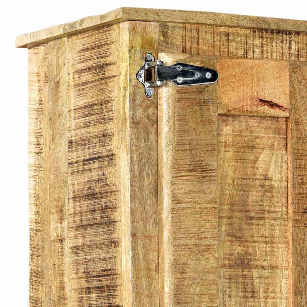 2-türiger Design Dielenschrank aus Mangobaum - Suennas