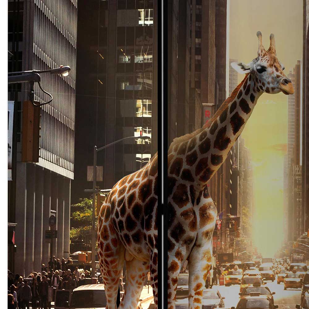 Paravent Giraffe in New York Fotokunst - Lisdonna