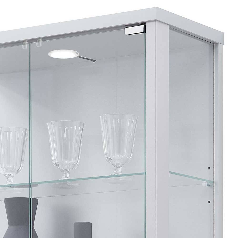 56x82x26 Hängevitrine in Silber - Furcias