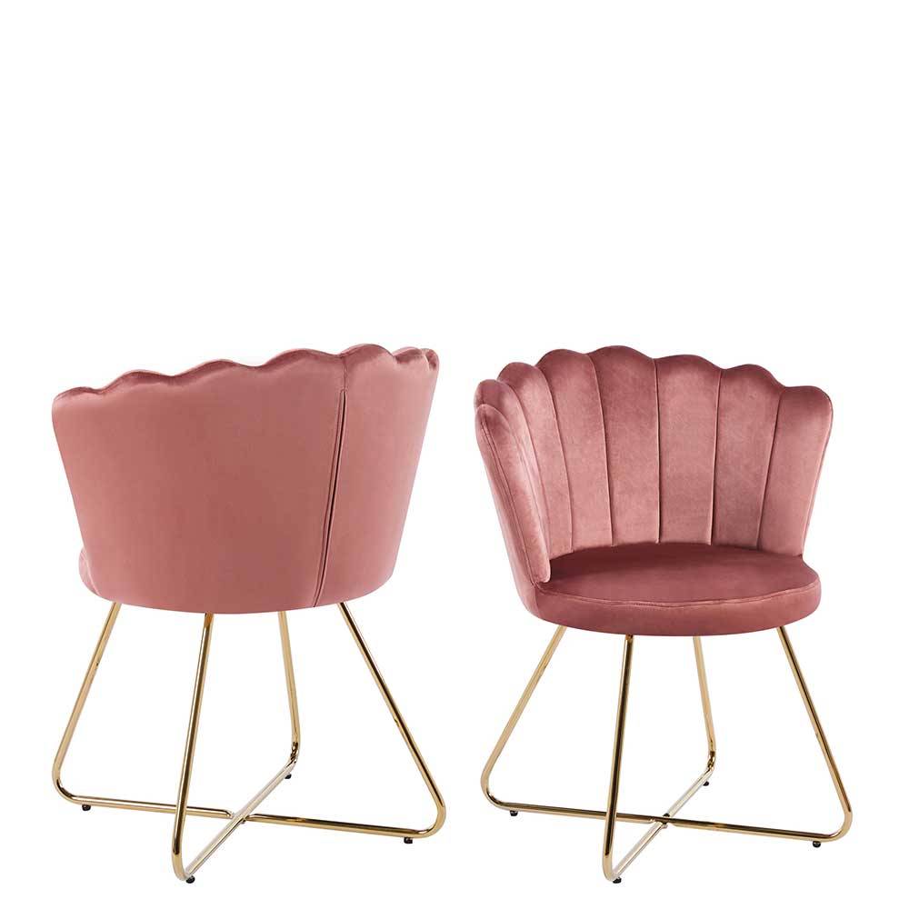 Muschel Design Samtstühle in Rosa - Vionela (2er Set)