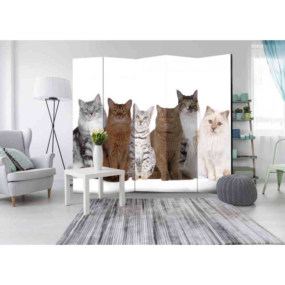 Leinwand Paravent mit Katzen Foto - Jalana