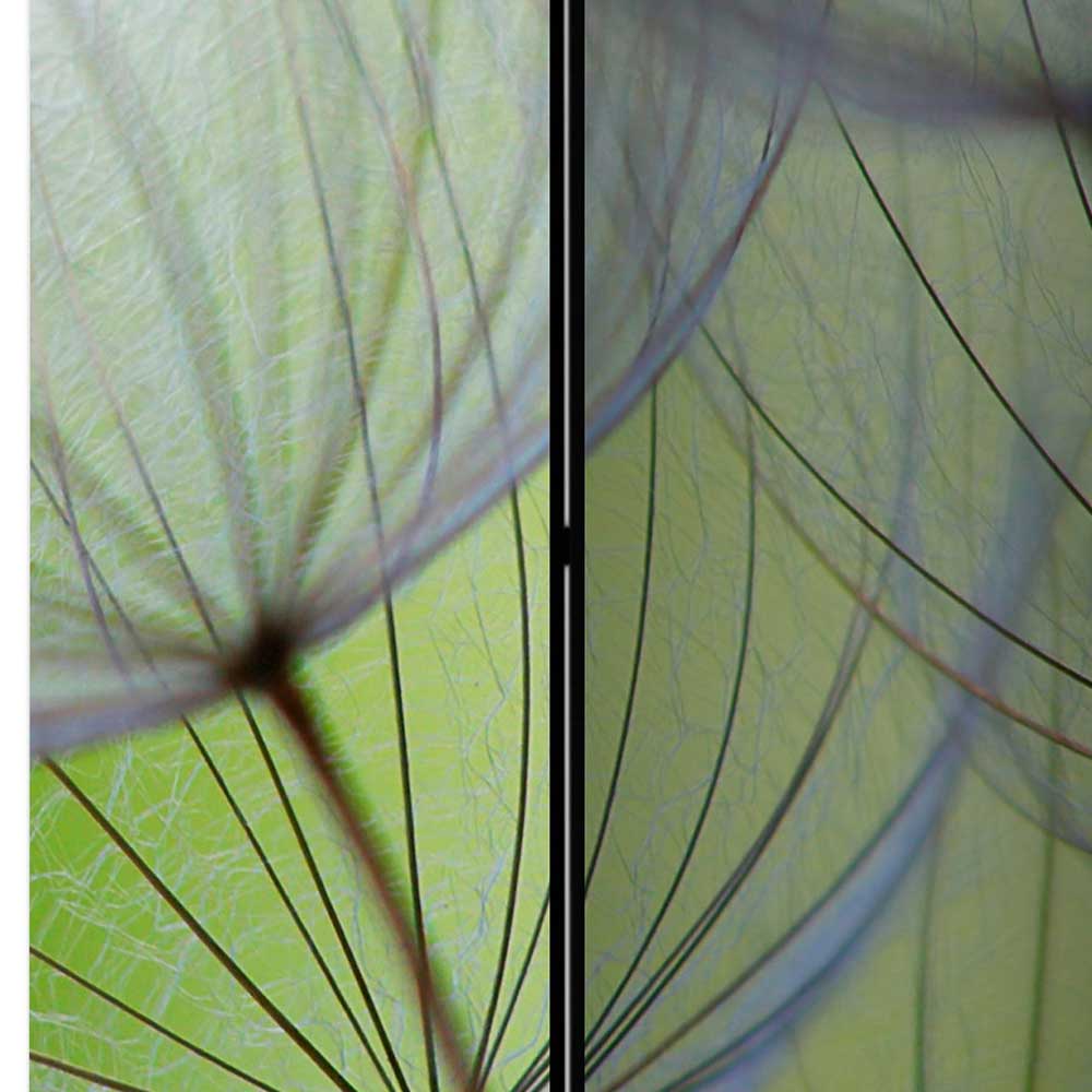 Fotoprint Paravent Close Up Pusteblume - Shalima