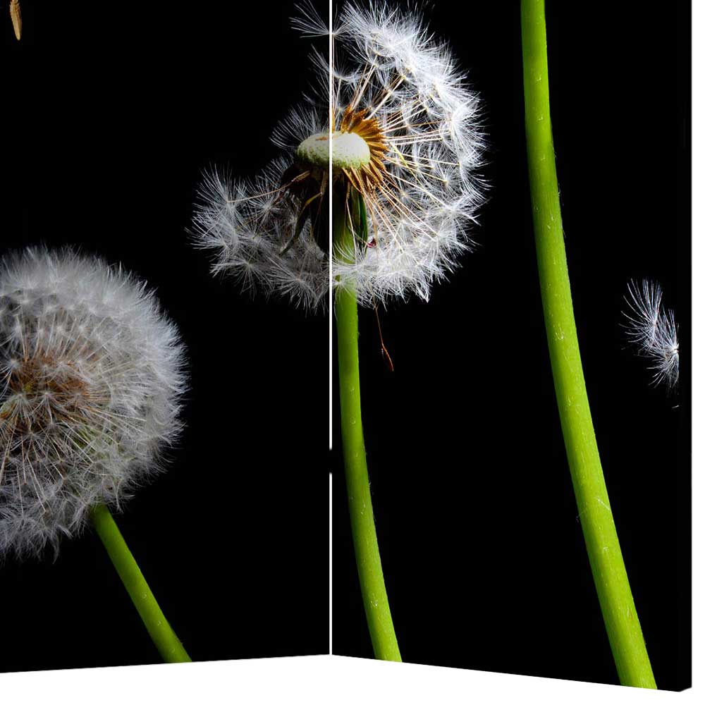 Spanischer Raumteiler mit Pusteblumen Foto - Hocumola